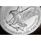 2024 US Silver Eagle 1Oz Coin Lifestyle 05