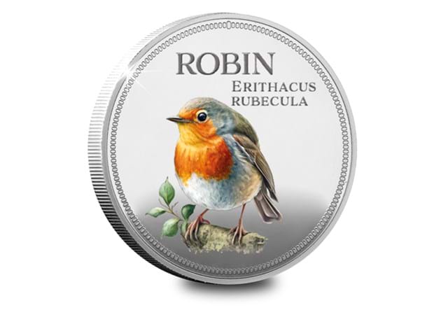 British Garden Birds Silver Set Robin Rev