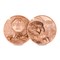 Copper Falcon Coin Images (DY) 1