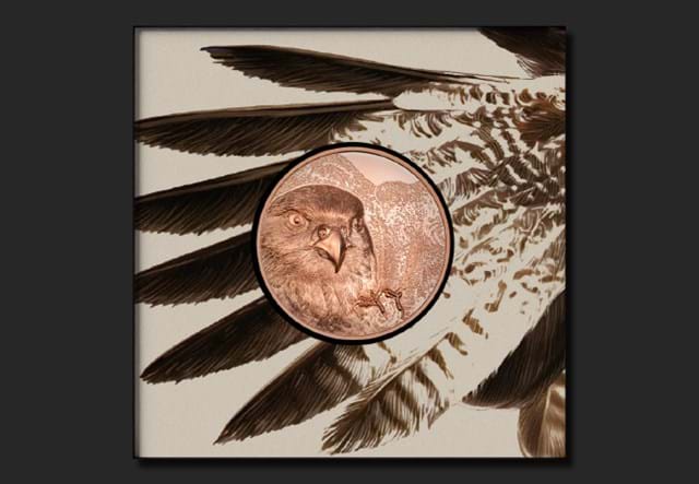 Copper Falcon Coin Images (DY) 4
