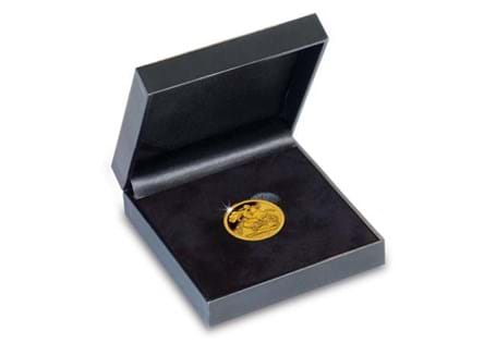 Individual coin display case for sovereign