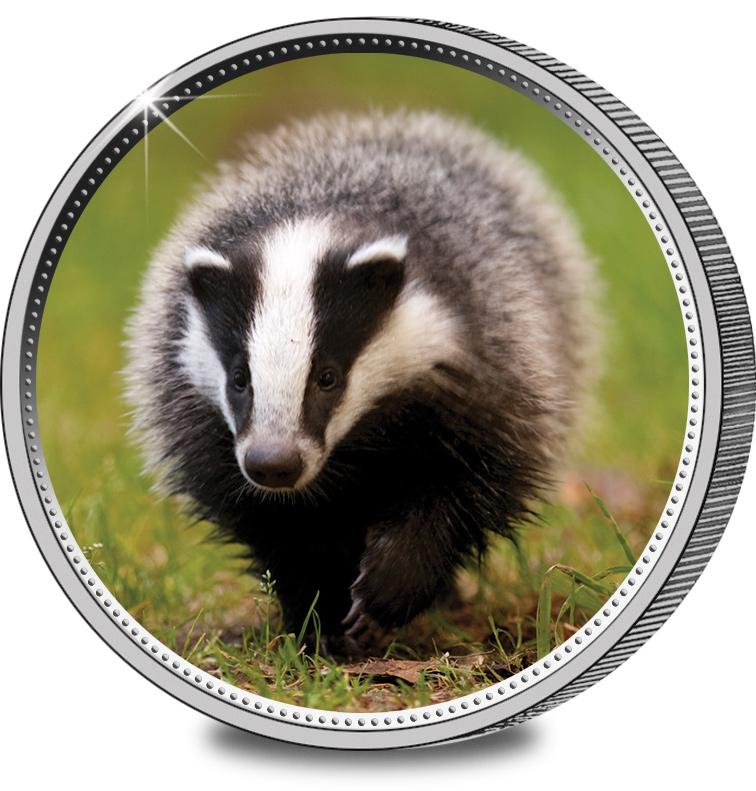 badger collectables