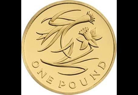 Issued in 2013 as part of the Floral Emblem series of £1 coins. The reverse design features a Daffodil and Leek, which represents Wales.