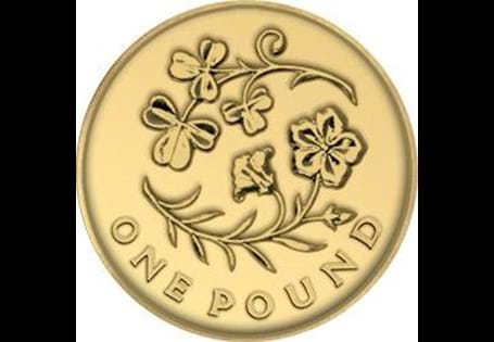 Issued in 2014 as part of the Floral Emblem series of £1 coins. The reverse design features a Flax and Shamrock, which represents Northern Ireland.