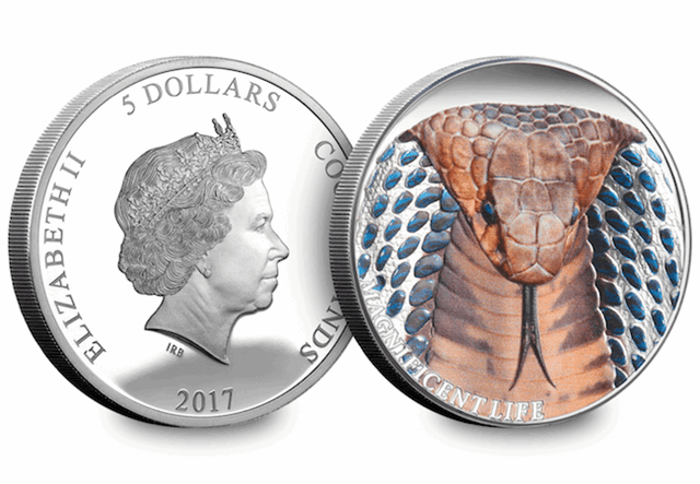 Cobra Coin Obverse Reverse