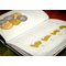Victoria-Queen-of-Coins-Book-Lifestyle6.png