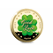 Good Luck Gold-Plated Medal Reverse