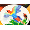 2016-World-of-Parrots-Scarlet-Macaw-Silver-Proof-Coin-Lifestyle5.png