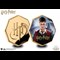 Harry-Potter-Obverse-Reverse-Harry-Potter-Commemoratives-Product-Images.jpg