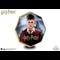 Harry-Potter-Reverse-Harry-Potter-Commemoratives-Product-Images.jpg