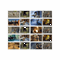 tomb-raider-a4-framed-product-page-images-all-stamps.png