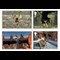 tomb-raider-a4-framed-product-page-images-stamps-1.jpg