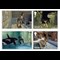 tomb-raider-a4-framed-product-page-images-stamps-2.jpg
