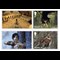 tomb-raider-a4-framed-product-page-images-stamps-3.jpg