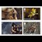 tomb-raider-a4-framed-product-page-images-stamps-5.jpg
