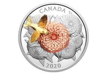 The-2020-Hummingbird-and-Bloom-Silver-Coin-Reverse.jpg