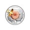 The-2020-Hummingbird-and-Bloom-Silver-Coin-Reverse.jpg