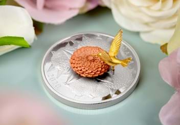 LS-Hummingbird-and-Bloom-Coin-lifestyle-4.jpg