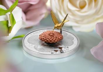 LS-Hummingbird-and-Bloom-Coin-lifestyle-5.jpg