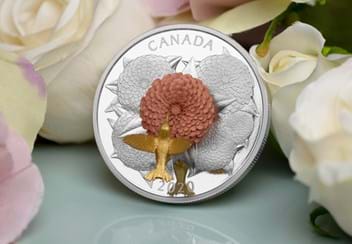 LS-Hummingbird-and-Bloom-Coin-lifestyle-6.jpg