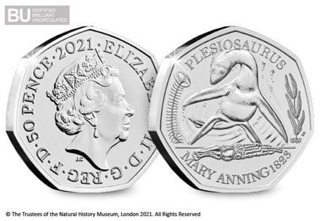 This 50p is the second coin to be released in the Mary Anning 50p Collection. It has been protectively encapsulated and certified as superior Brilliant Uncirculated quality.