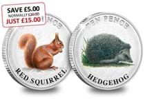 This stunning 2020 Guernsey Woodland Mammal 10p Pair features illustrations of the much loved Hedgehog and Red Squirrel. The coins are limited to just 19,995, struck to BU quality.