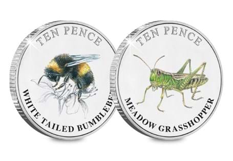 This stunning 2021 Guernsey 10p Insects 10p Pair features illustrations of the much loved Bumblebee and Grasshopper. The coins are limited to just 19,995, struck to frosted BU quality.