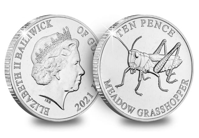 The Meadow Grasshopper Obverse and Reverse