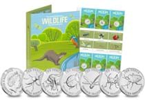 This stunning set celebrates some of the most loved Insects in the British Isles, including the Bumblebee, Grasshopper, Ladybird, Shieldbug, Stag Beetle and Dragonfly. 