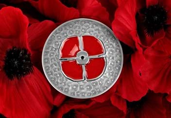 2021 Masterpiece Poppy coin laying amongst some poppies
