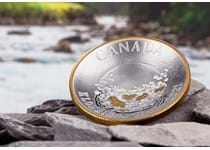 This coin has been issued by The Royal Canadian Mint to mark the 125th anniversary of the Klondike Gold Rush. It is struck from 99.9% silver with selective gold-plating and a proof finish. 