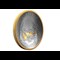Canada 2021 Klondike Gold Rush Silver Proof Coin Reverse from the side
