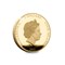 Princess Diana Supersized Coin Obverse
