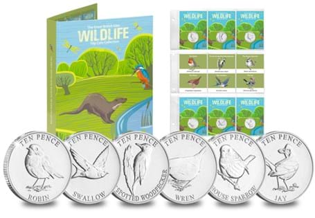 This stunning set celebrates some of the British Isles' most loved Garden Birds, the Robin, Wren, Sparrow, Jay, Woodpecker and Swallow. Each coin has been struck to an Uncirculated quality.