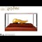 Harry Potter Golden Snitch Coin in acrylic box from the side