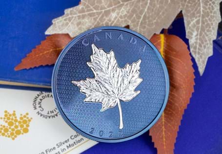 This 2022 Silver Proof Maple Leaf coin has been issued by the Royal Canadian Mint. The coin has been struck from 5oz of .999 Silver and has been plated in blue rhodium. EL: 1,500