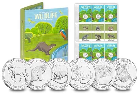 This stunning set celebrates some of the British Isles' most loved Woodland Animals, the Dormouse, Pony, Wildcat, Bat, Pine Marten and Wood Mouse. Each coin has been struck to an Uncirculated quality.