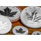 2023 Silver Maple Leaf Fractional Set Coins Close Up 1