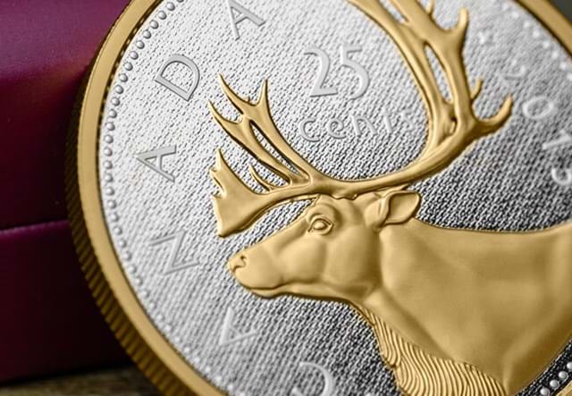 2015 Canada Caribou Coin Close Up 1