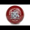 Cricket Ball Shaped Coin Obverse