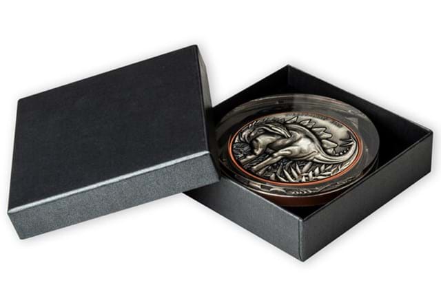 Stegosaurus Bi Metallic Coin Display Box