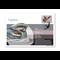 Migratory Birds Stamp And Commemorative Covers Collection Nightjar