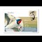 Migratory Birds Stamp And Commemorative Covers Collection Swallow