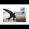 Migratory Birds Stamp And Commemorative Covers Collection Swift