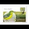 Migratory Birds Stamp And Commemorative Covers Collection Yellow Wagtail