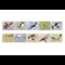 Migratory Birds Stamp And Commemorative Covers Collection Stamps