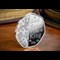 God Save The King Silver 50P On Antique Desk