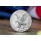 2023 US Silver Eagle Coin Obverse Close Up