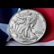 2023 US Silver Eagle Coin Reverse Lifestyle