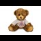 King Charles III Coronation 'Charles' Teddy Bear